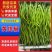 【热卖中】山东辣椒黄线椒新鲜发货大吨位对接市场全国发货