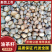 油茶籽99%以上全干野生，希要的联系我