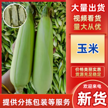 【放心购买】黑龙江绥化真空铝箔鲜食玉米糯玉米量大从优