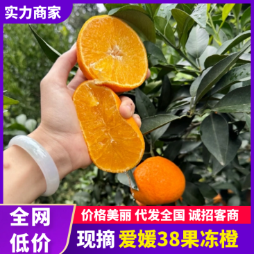爱媛38号果冻橙橙子产地直供个大皮薄纯甜多汁