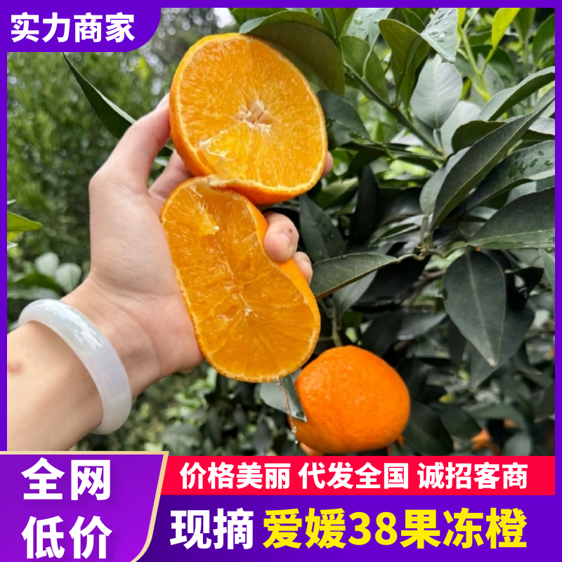 爱媛38号果冻橙橙子产地直供个大皮薄纯甜多汁