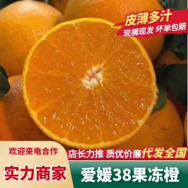 爱媛橙四川橙子爱媛果冻橙现摘现发水分充足量大优惠