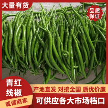红线椒产地发货大量上市价格便宜欢迎联系咨询采购