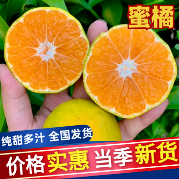 蜜橘/蜜桔/大量上市/产地直发供应市场电商/欢迎咨询