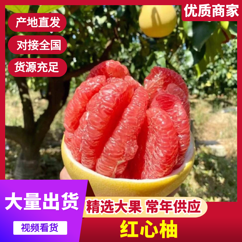 红心蜜柚，皮薄汁水多，产地直发、长期供货、欢迎选购看货