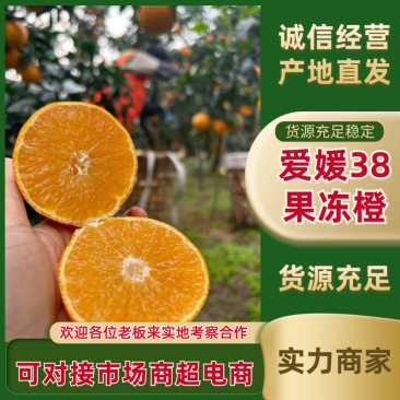 爱媛38号果冻橙爱媛橙现摘现发坏果包赔量大优惠