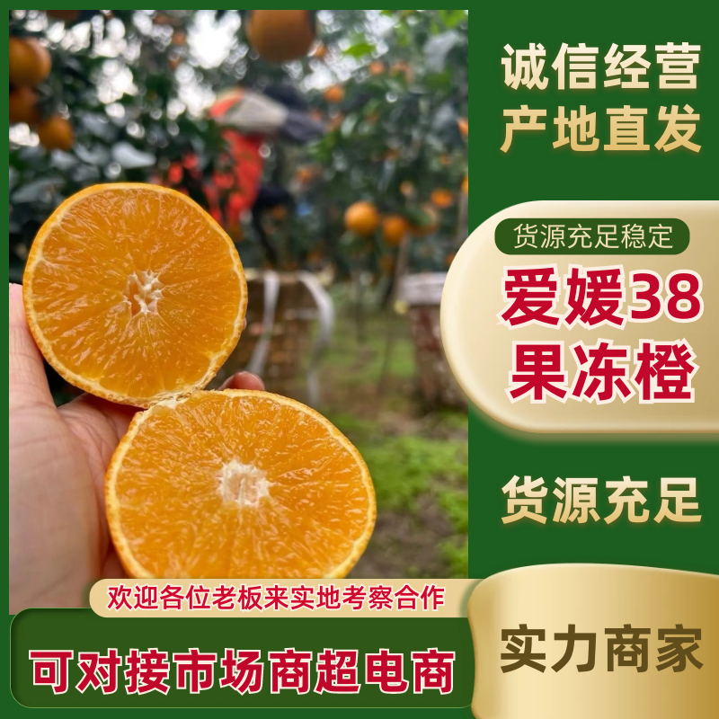 爱媛38号果冻橙爱媛橙现摘现发坏果包赔量大优惠