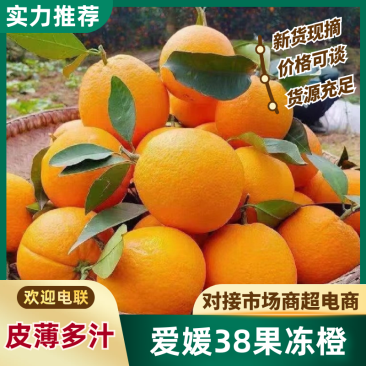 爱媛橙橙子果冻橙个大均匀纯甜多汁品质保障