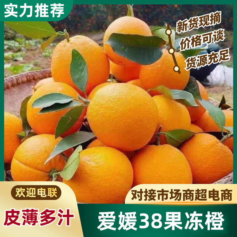 爱媛橙橙子果冻橙个大均匀纯甜多汁品质保障