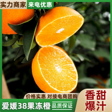 【热卖】爱媛橙橙子果园直采现摘现发皮薄多汁
