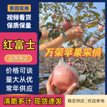 【万荣苹果】山西红富士苹果基地直发支持视频和实地看货