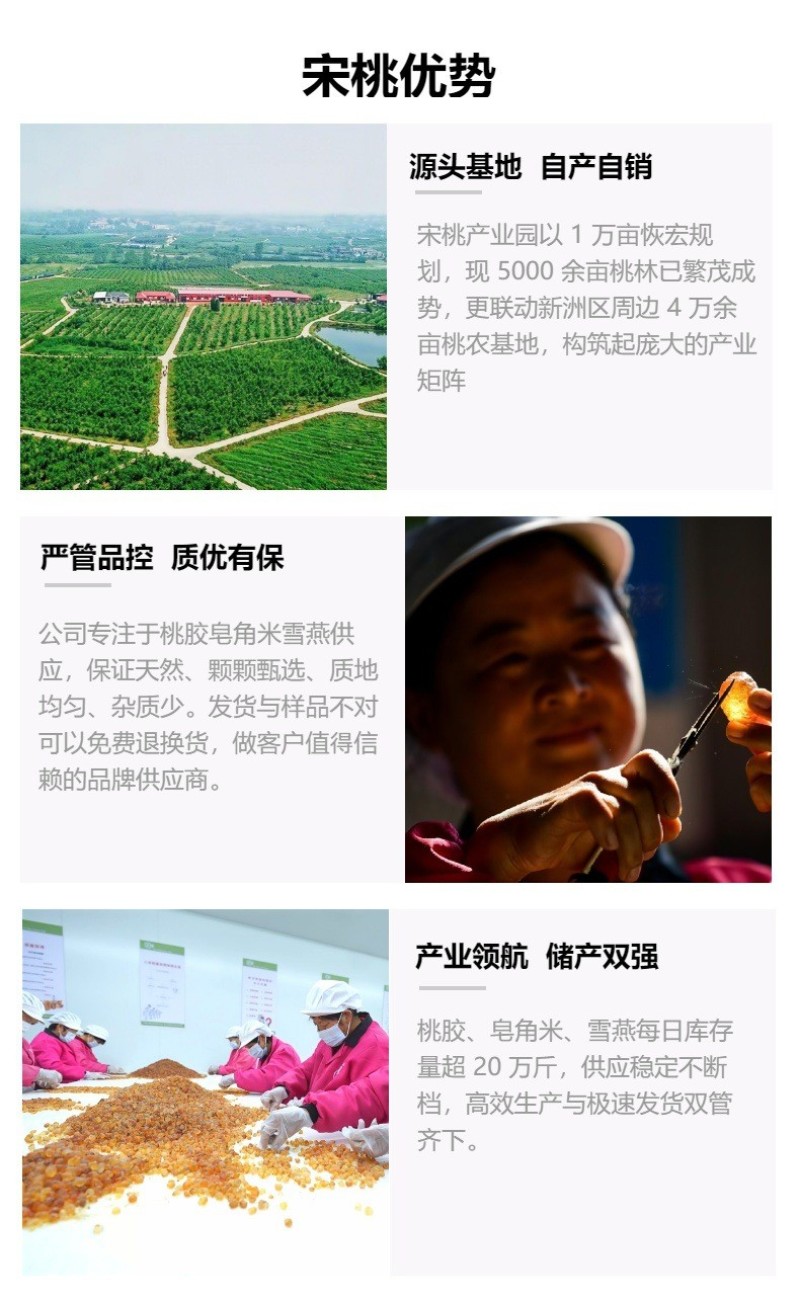 桃胶源头自产自销琥珀机磨珍珠颗粒鲜炖桃胶商用桃胶干料