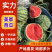 【包熟包甜】云南麒麟西瓜基地直供整车发货大批量欢迎咨询