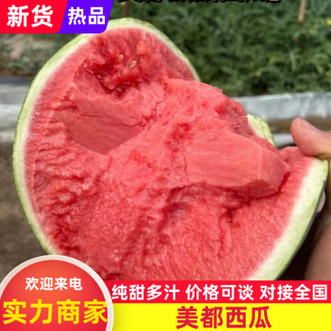 云南美都西瓜海量货源可视频可实地看货整车发货批发
