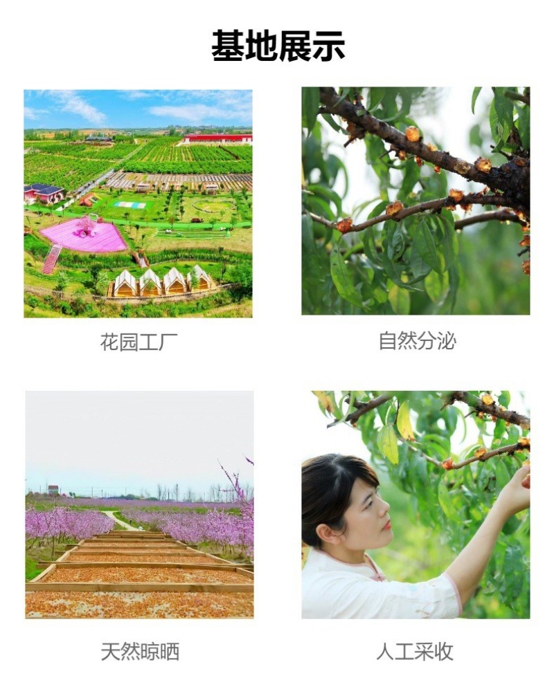 桃胶源头大量低价处理桃胶碎桃胶片桃胶小小颗粒桃胶尾货