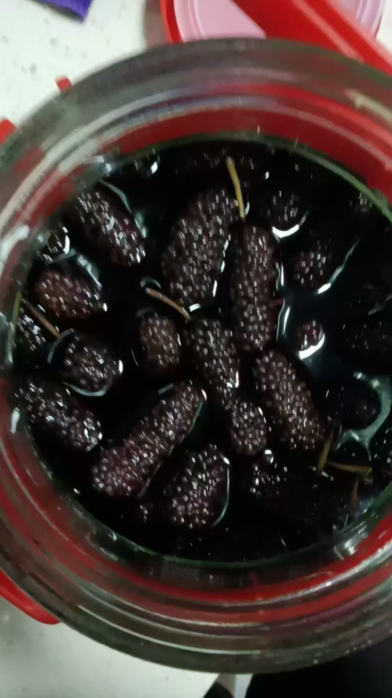 桑椹酒，当季现货，产地直发品质保证，量大从优！