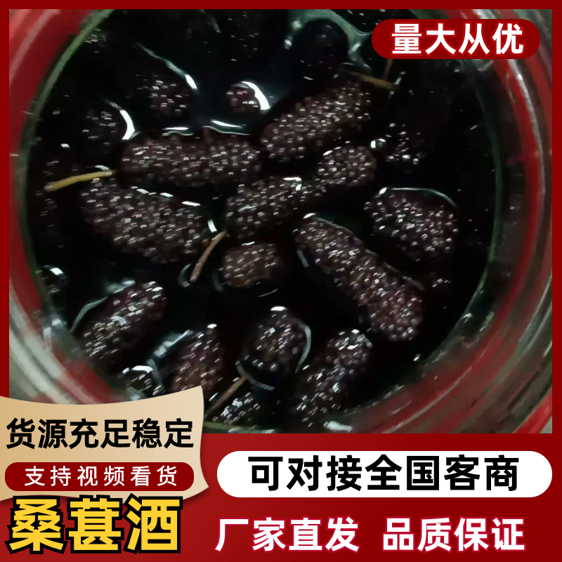 桑椹酒，当季现货，产地直发品质保证，量大从优！