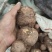 豆包芋头山东芋头产地直发品质保障对接全国商超市场等