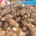 豆包芋头山东芋头产地直发品质保障对接全国商超市场等
