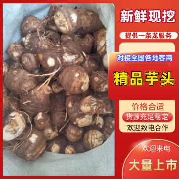 山东芋头精品红土芋头产地一手货源提供运输一条龙服务