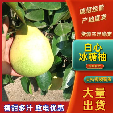 白心冰糖柚，当季现货新鲜现摘，产地直发品质保证量大从优！