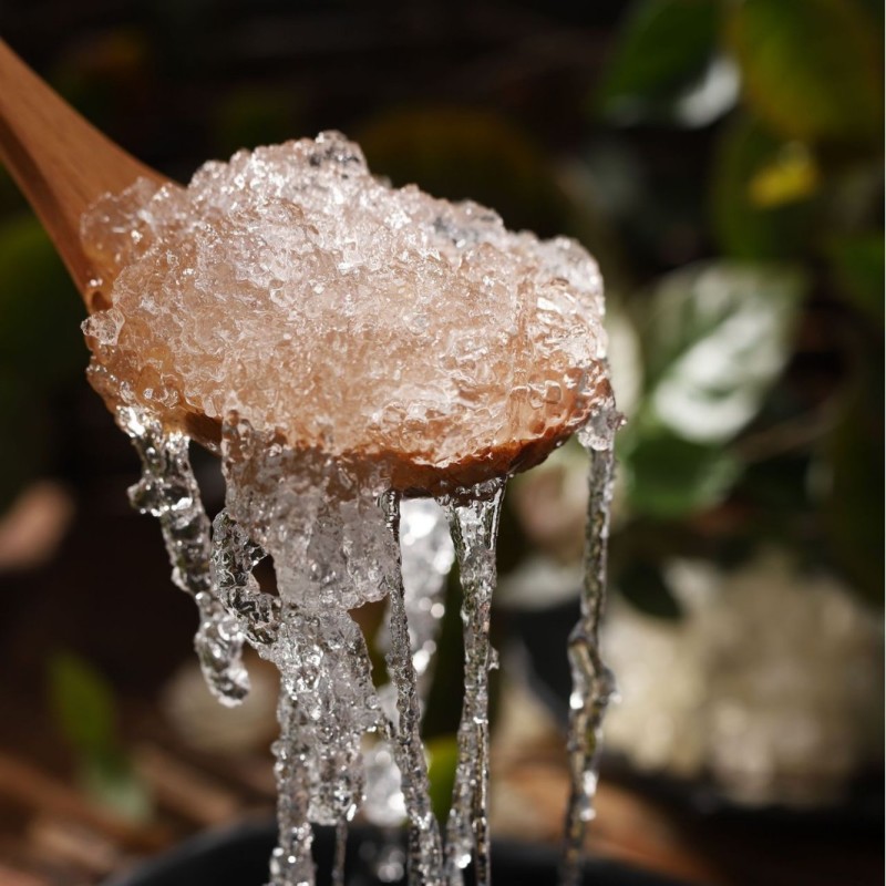 拉丝雪燕一手货源源头产地批发大量现货植物燕窝