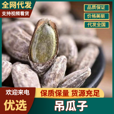 精品吊瓜子品质保证量大从优一件代发批发散装都可