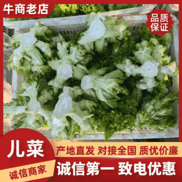 儿菜.大芯.小芯四川原产地儿菜货量大规格齐全