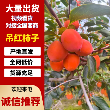 河南灵宝精品吊红柿子对接全国市场加工厂量大价优