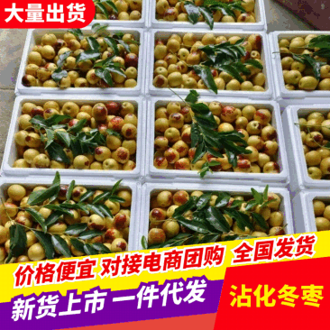 【一件代发】沾化冬枣电商全平台对接,抖音淘宝拼夕夕美团