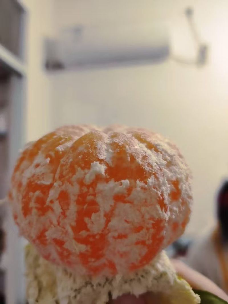 新鲜蜜桔果面干净汁水饱满口感纯甜无酸量大从优！