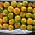 新鲜蜜桔果面干净汁水饱满口感纯甜无酸量大从优！