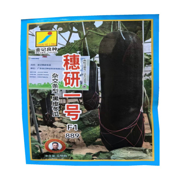 穗研一号黑皮冬瓜种子889杂交条型长柱型基地种子发芽高