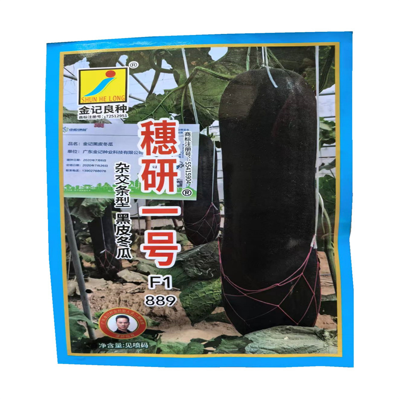 穗研一号黑皮冬瓜种子889杂交条型长柱型基地种子发芽高