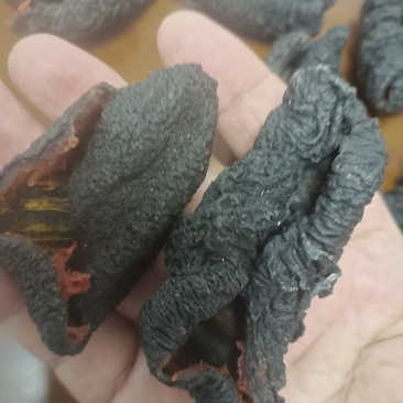 去筋红极参干货15倍泡发率
