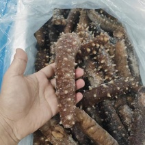 即食红参