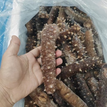 即食红参