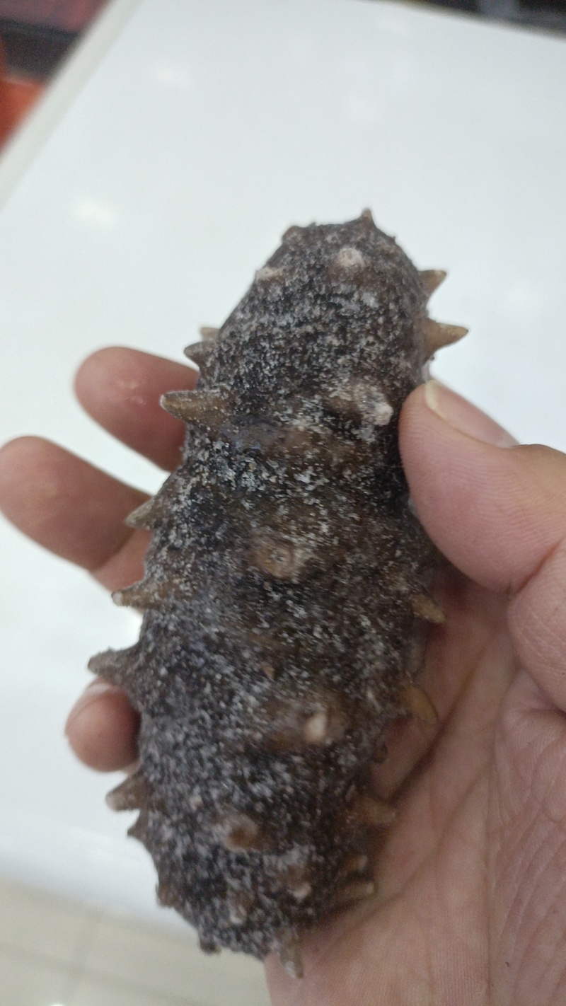 即食海参4-6头大连海参