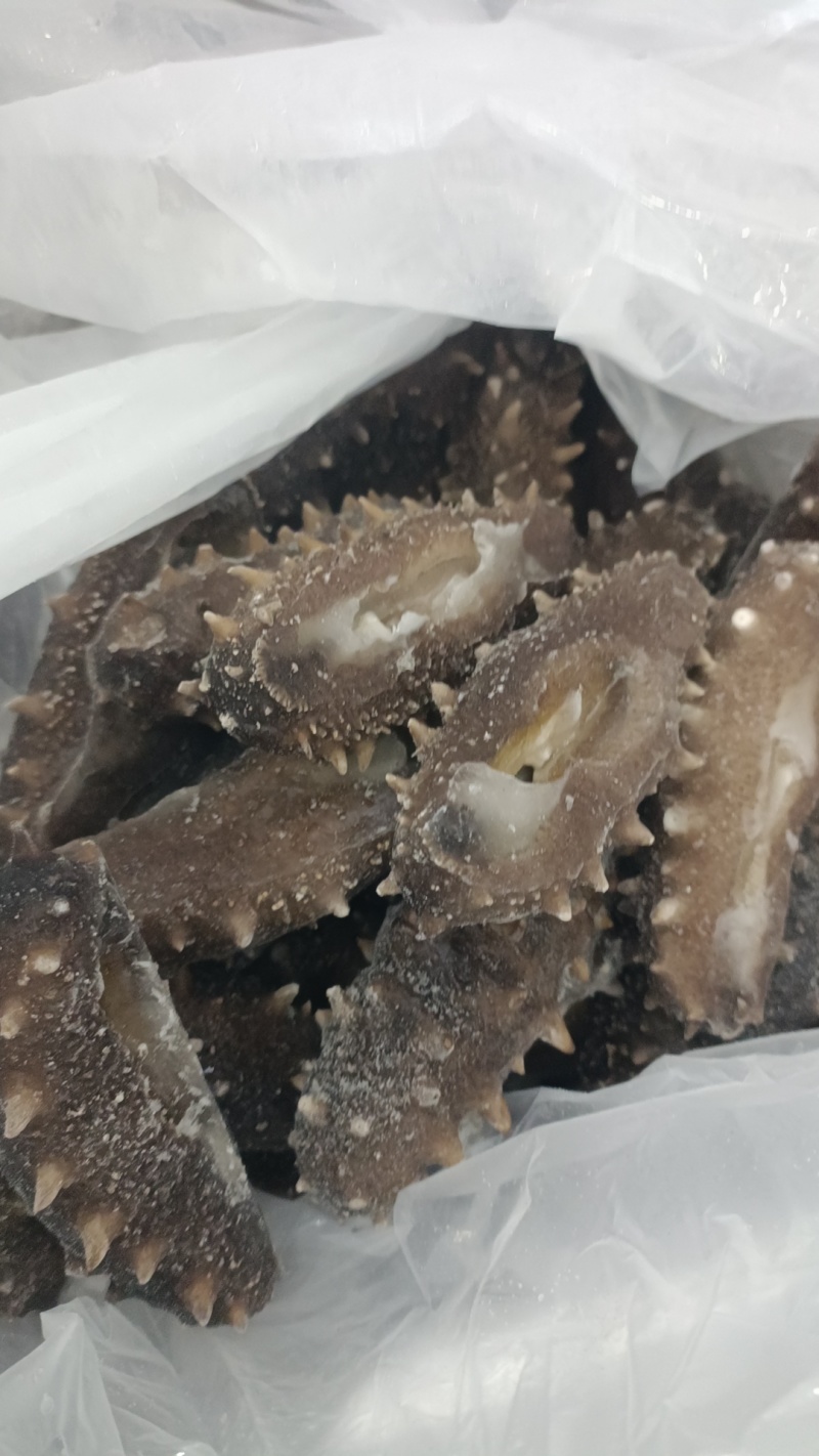 即食海参4-6头大连海参