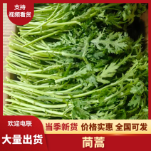 精品茼蒿，产地直发品质保证，均当季现货新鲜采摘，量大从优