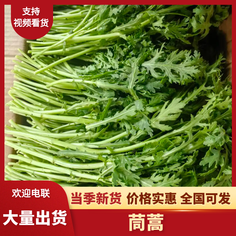 精品茼蒿，产地直发品质保证，均当季现货新鲜采摘，量大从优