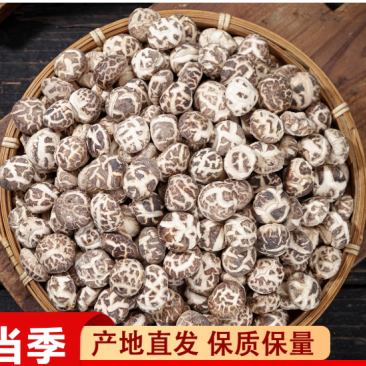 源头加工①③②生产金钱菇⑥⑦花菇①⑧黑面菇⑧⑦⑧⑥香茹