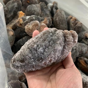 即食红极参
