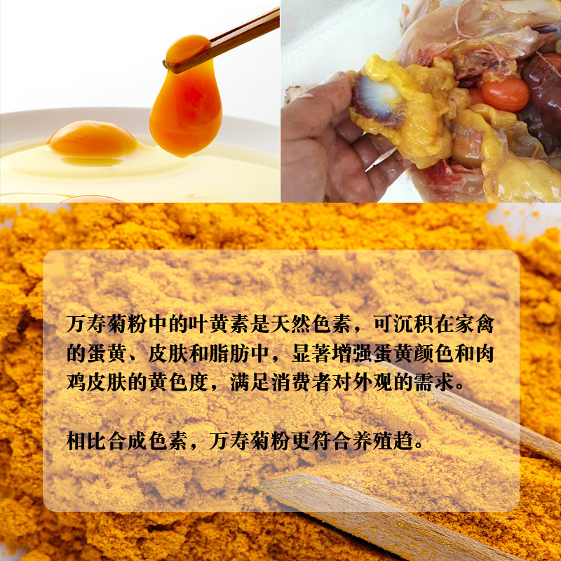菊花粕万寿菊粉叶黄素0.5%家禽饲料