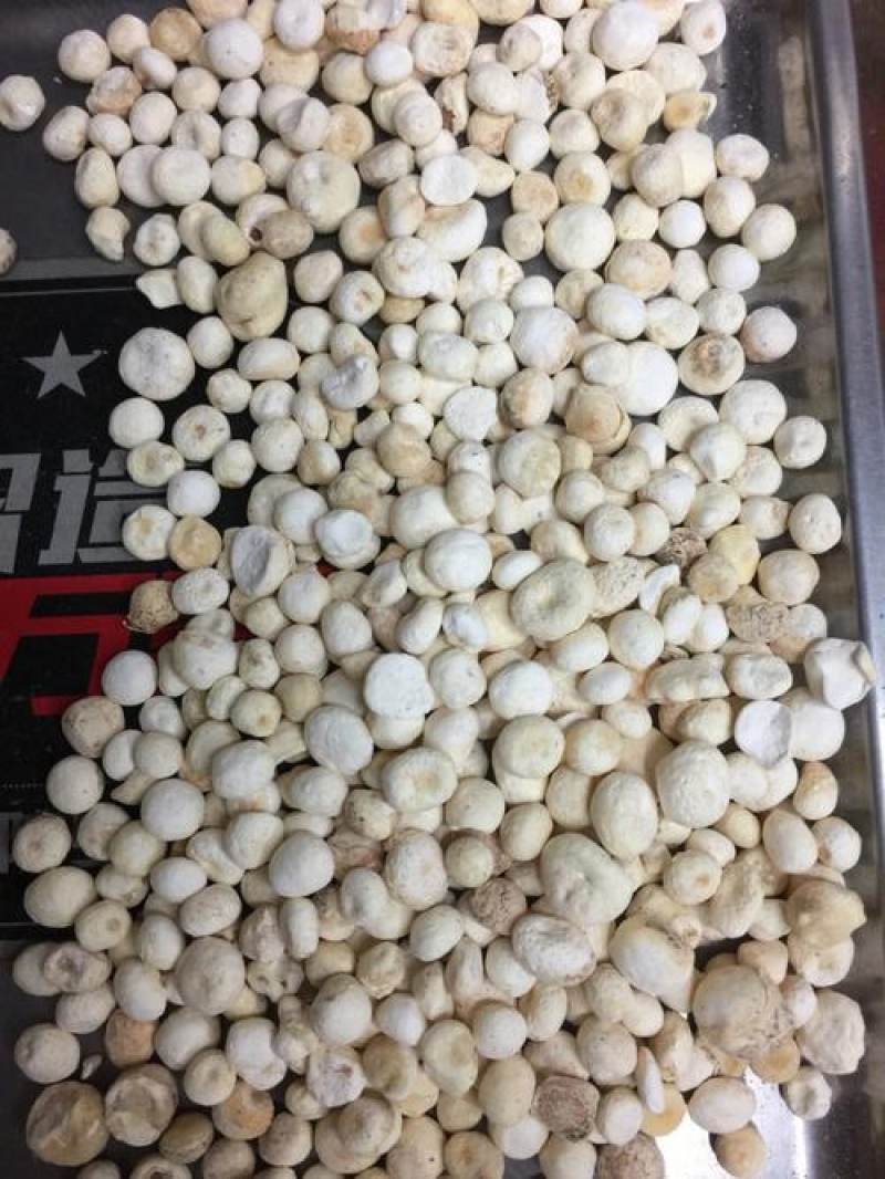 樟丹铅丹黄丹