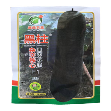 黑柱杂交铁心黑皮冬瓜种子887空腔小长柱型