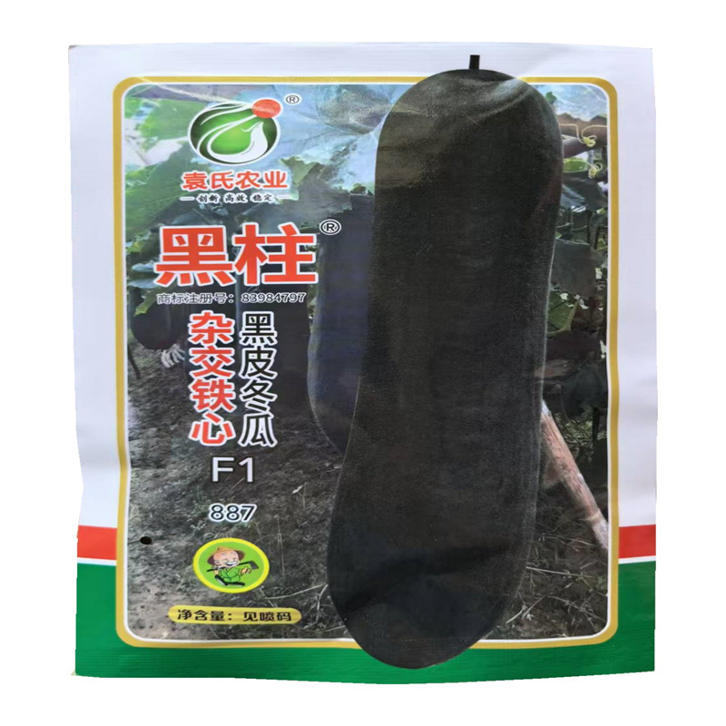 黑柱杂交铁心黑皮冬瓜种子887空腔小长柱型