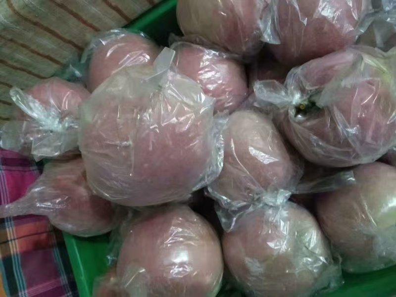 陕西精品红富士苹果🍎/套袋苹果/片红/量大价优/