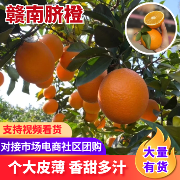 【江西赣南脐橙】赣南脐橙大量供应供应全国市场电商