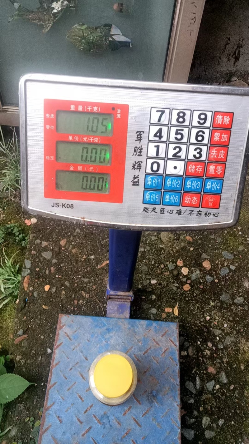江西吉安百花蜜深山养殖一手货源现货批发欢迎来电洽谈